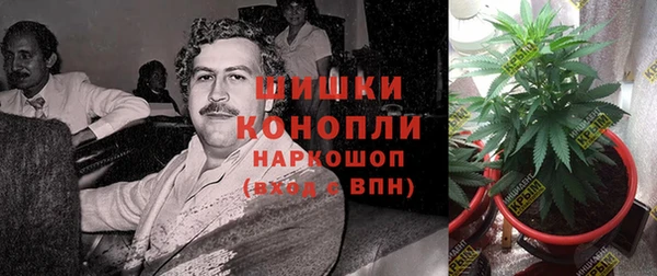 гидропоника Михайловка