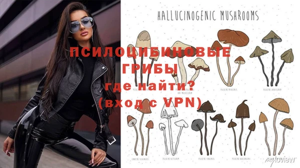 гидропоника Михайловка
